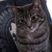 Jim Lafave - Facebook