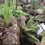 Mike Drinkwater - @jim_landscaping_coppa - Instagram