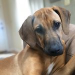 Jim langdon - @jim_tha_great - Instagram