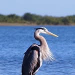 Jim Lanham - @jcl.61 - Instagram