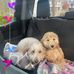 Jim Lapierre - Facebook