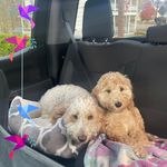 Jim Lapierre - @jiml401 - Instagram