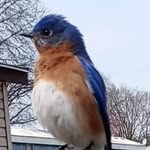 Jim Large - @jimbob2761 - Instagram