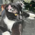 Jim Layne - @jimlayne600 - Instagram