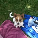 Jim Layne - @jim.layne.737 - Instagram