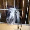 Jim Layne - @jim.layne4 - TikTok