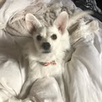 Jim Leber - @jimleber - Instagram