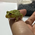 @jimlengandthajimjum - Instagram