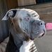 Jim Lester - Facebook