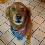 Jim Lester - @jtlester68 - Instagram