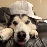 Jim Lester - @jim.lester.359 - Instagram