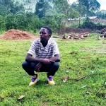 Levis jimajima - @levisjimajima5 - Instagram