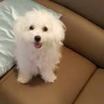 Ling Jim - @jim.ling - Instagram