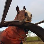 Jim Johnson Lingley - @jimjohnsonlingley - Instagram