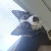 Jim Locke - @jim.locke - TikTok