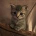 Jim Lopez - Facebook