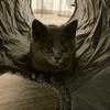 JIM_LOUIS - @jim_louis - TikTok