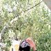Jim Loyd A. Arong - Facebook