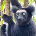 Jim Loyd Paler Dulana - Facebook
