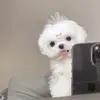 jimluck5856 - @jimluck5856 - TikTok
