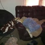 Jim Luna - @jaluna199 - Instagram