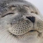 Imafollowyou - @jim.luster - Instagram