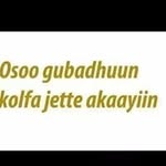 jimmaa sabontuu - @jimmaasabontuu - Instagram