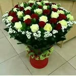 Best Jimma - @jimmabest - Instagram