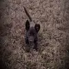 Jim Madison - @jim.madison2 - TikTok