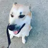 Jimmy Maggio - @jimmymaggio - TikTok