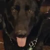 Jim Major - @2159649172 - TikTok