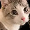 Jim Maki - @jim.maki - TikTok