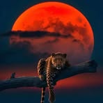 Mak Jim - Facebook