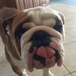 Jim Malec - @jimcelam - Instagram