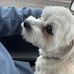 Jim Malecha - Facebook