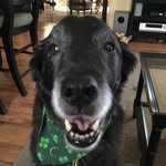 Jim Mancuso - @mancuso.jim - Instagram
