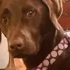 Jim Manganello - @jimmanganello - TikTok