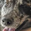 jimmark_1 - @jimmark_1 - TikTok