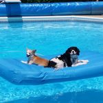 Jim Martini - @jim_martini - Instagram