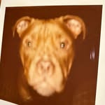 Jim Masters - @jimmasters76 - Instagram
