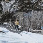 Jim Mather - @jim__mather - Instagram