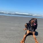 Jim matlock - @jageruse - Instagram
