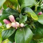 Jim Matlock - @matlock6468 - Instagram
