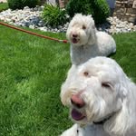 Jim Matteo - @jimmatteo - Instagram