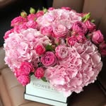 Kathy Matteson - @jim.matteson.75 - Instagram