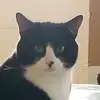 jim_mainey - @jim_mainey - TikTok