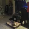 Jim Mcateer - @jim.mcateer - TikTok