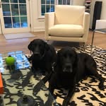 Jimmy P & McCready Travlos - @jimmyandmccready - Instagram
