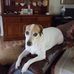 Jim Mcintire - Facebook