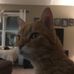 Jim Mckeon - Facebook